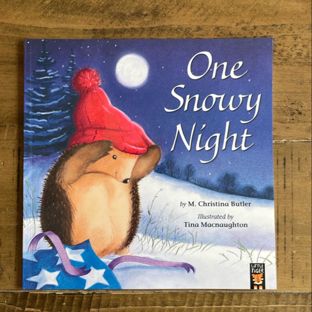 One Snowy Night
