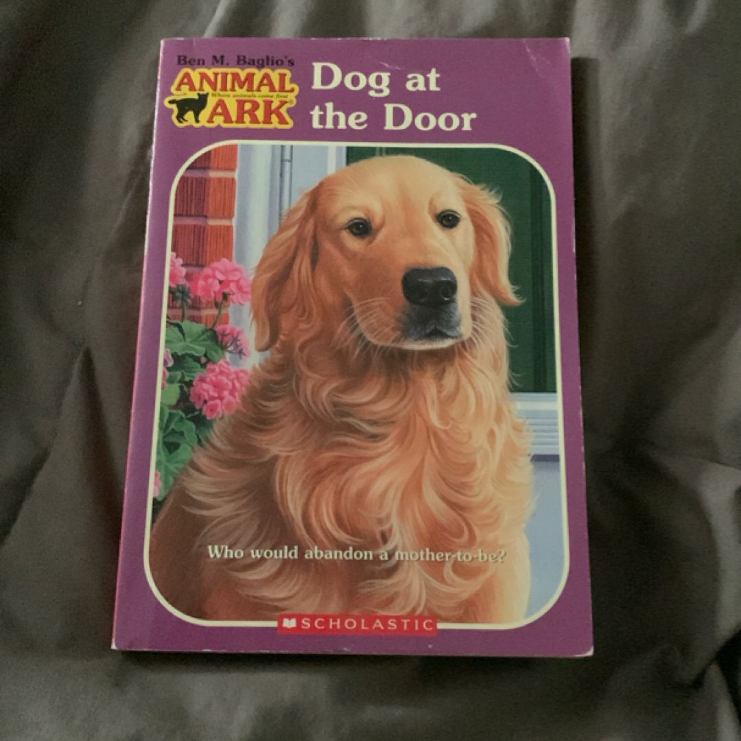 Dog at the Door