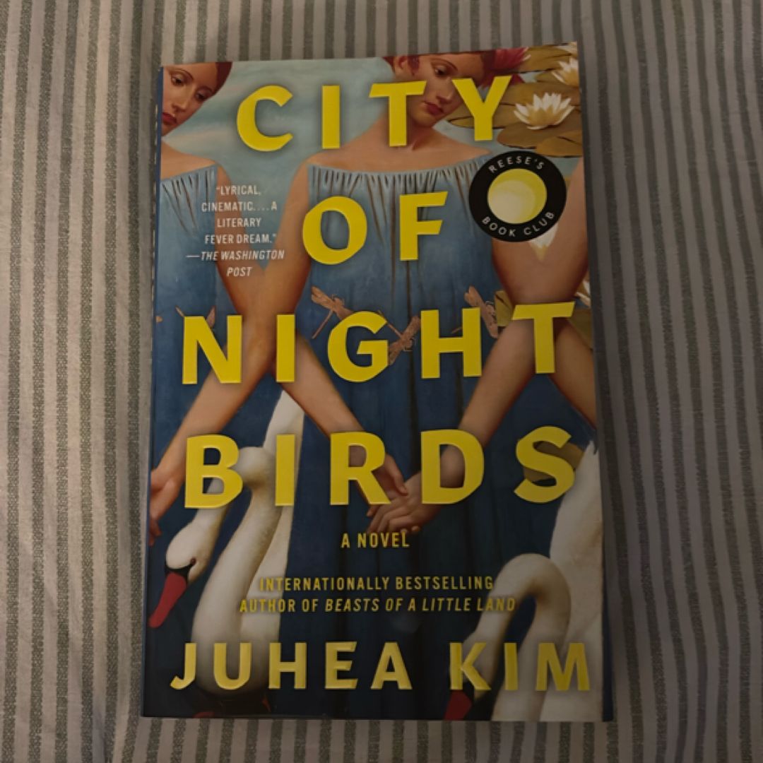 City of Night Birds
