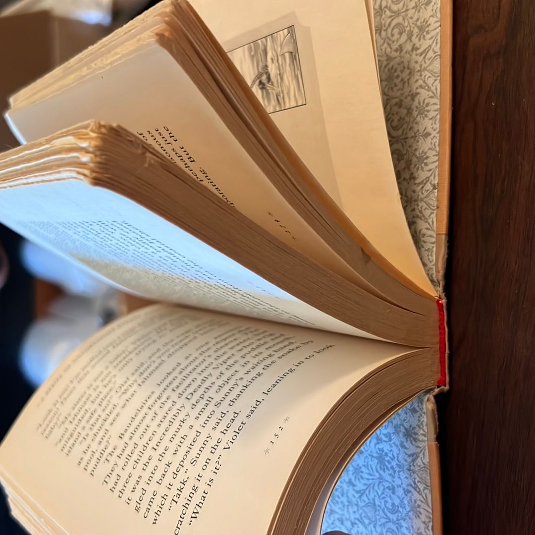 A Series of Unfortunate Events #13: the End