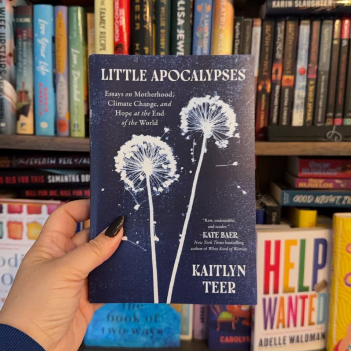 Little Apocalypses by Kaitlyn Teer