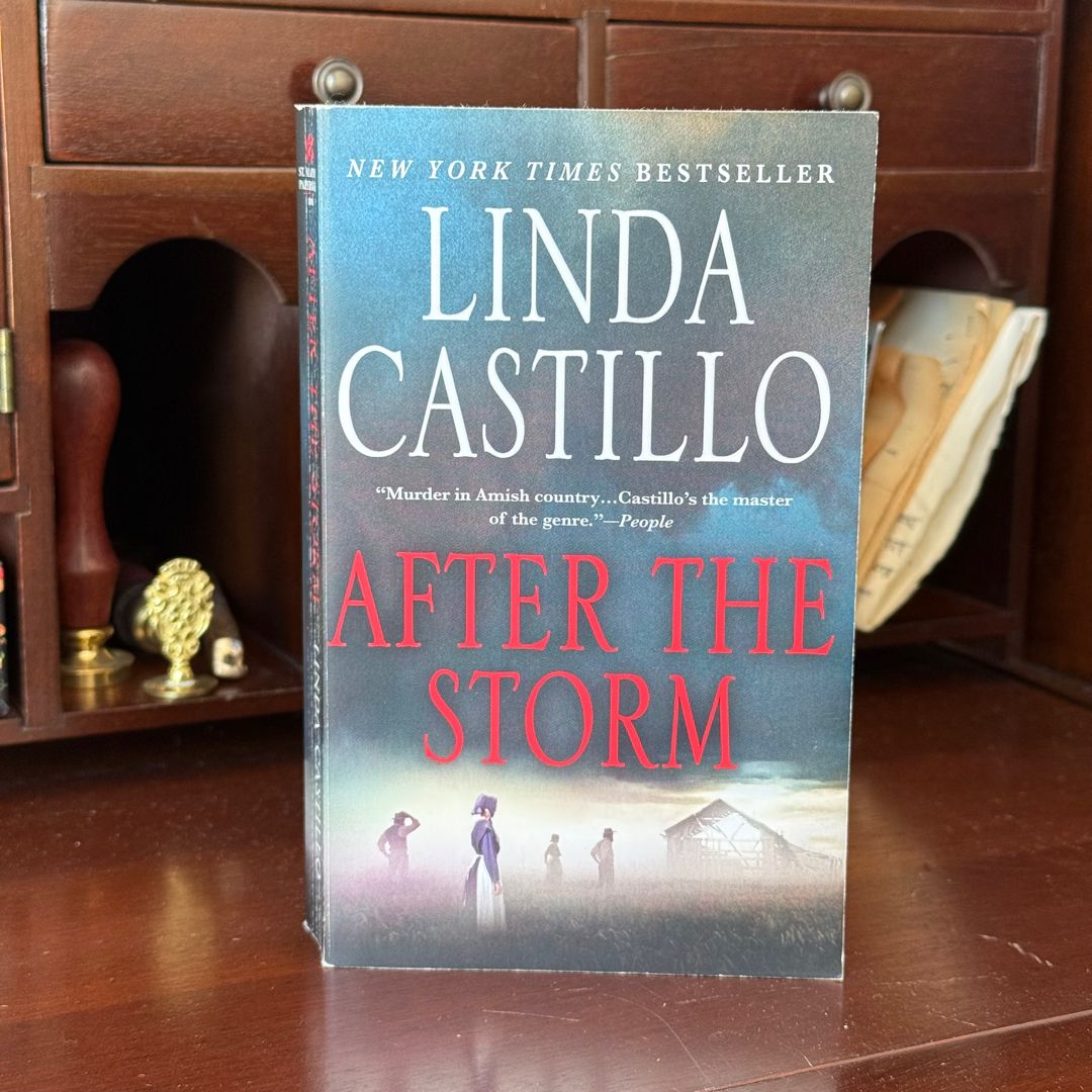 After the Storm