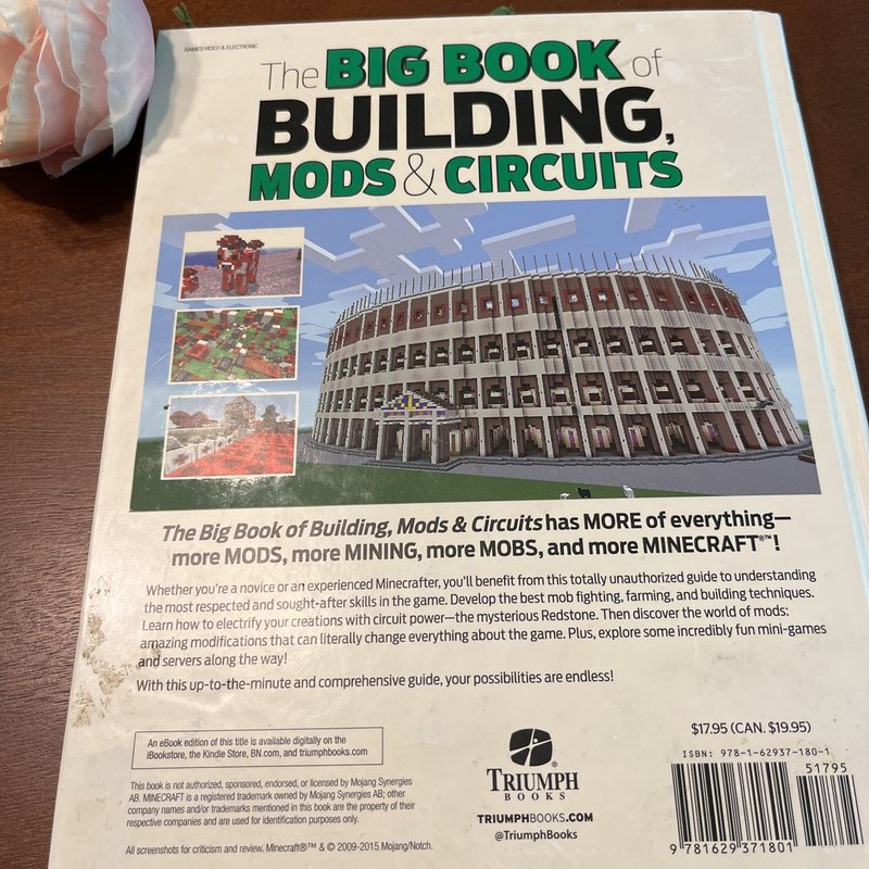 The Big Book of Building, Mods and Circuits