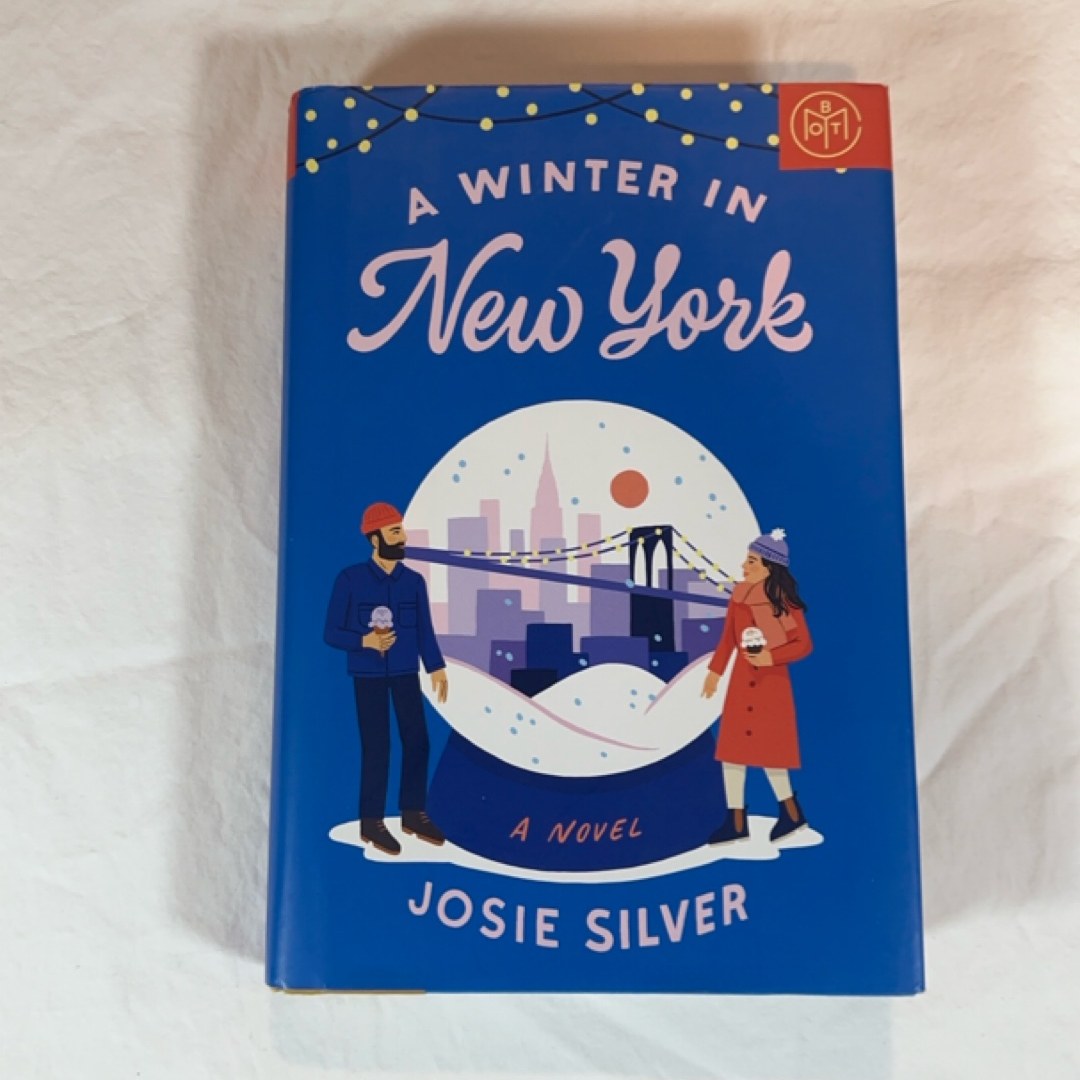 A Winter in New York