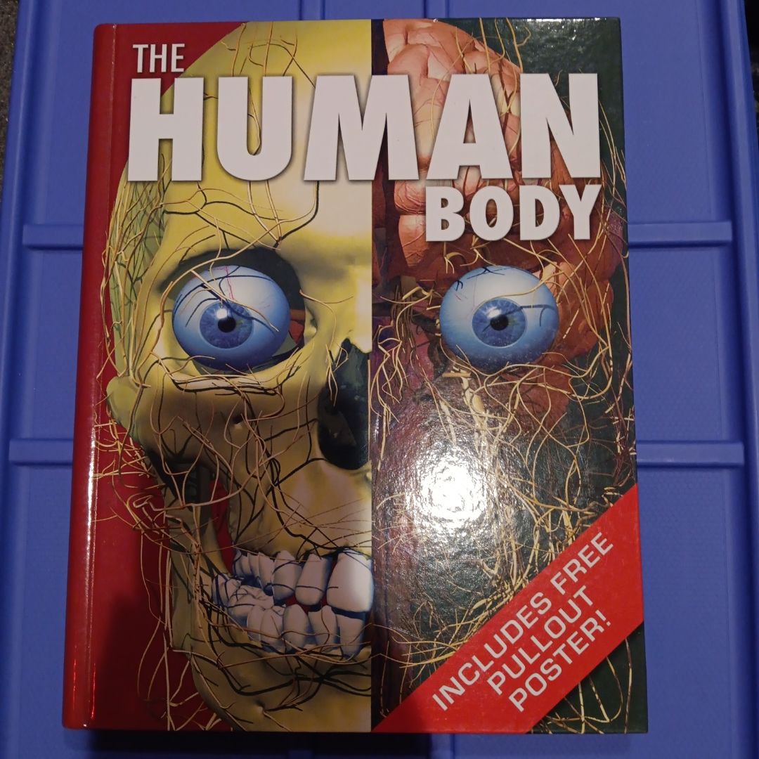 The Human Body