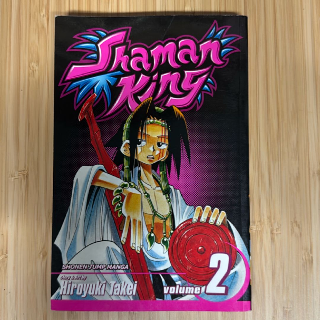Shaman King, Vol. 2