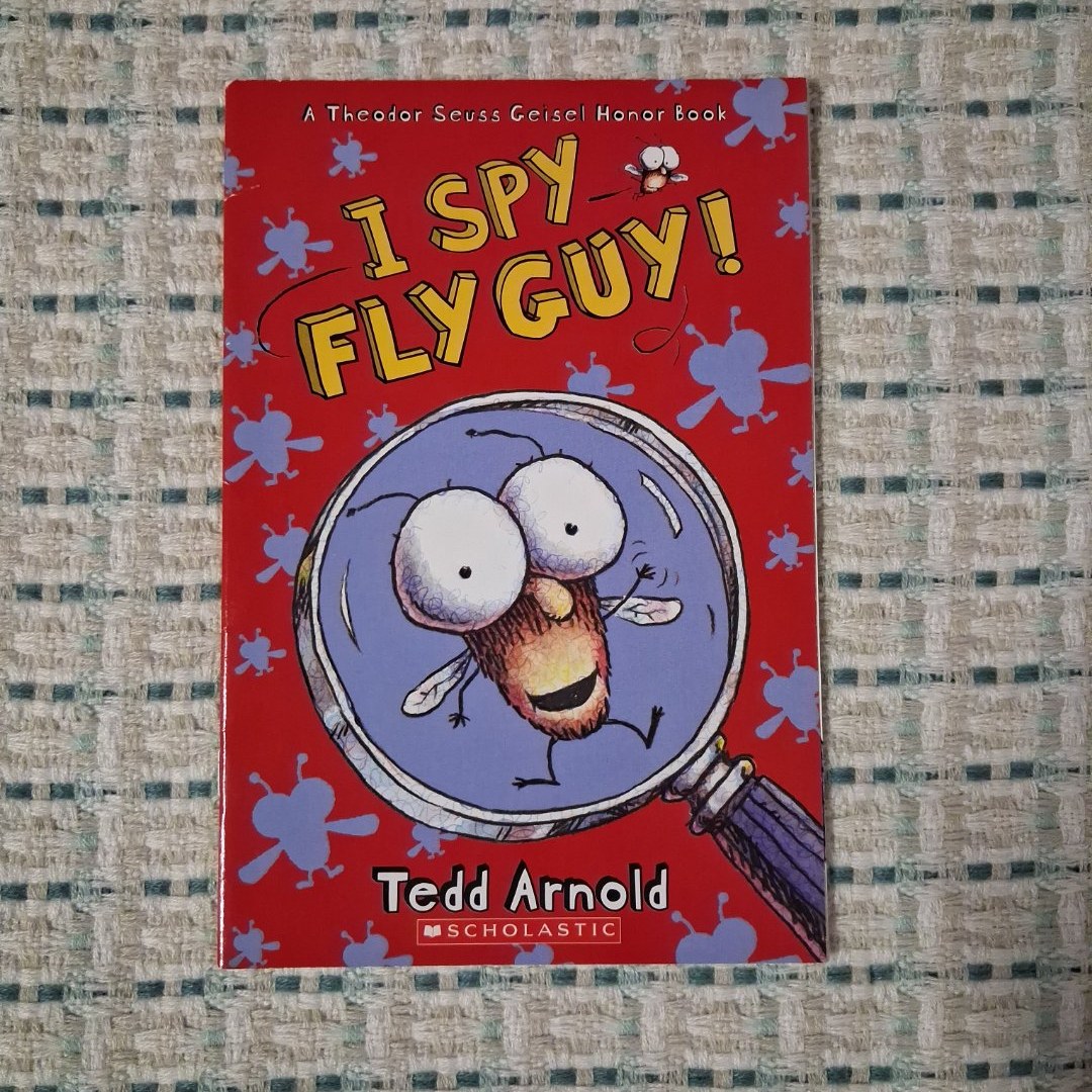 I Spy Fly Guy