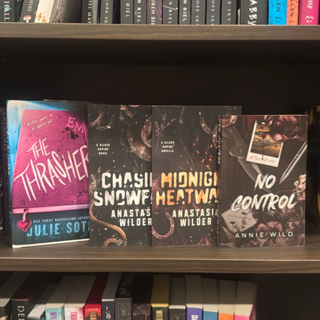 Chasing Snowfall