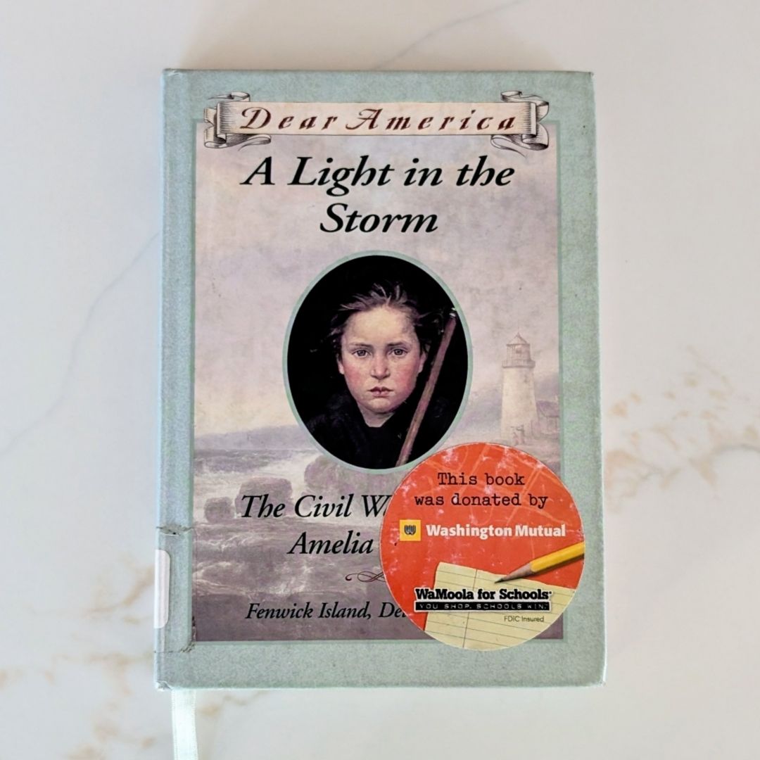 A Light in the Storm