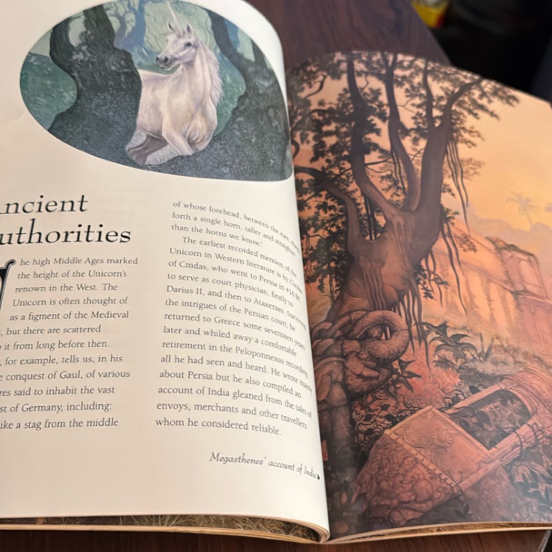 The Book of the Unicorn