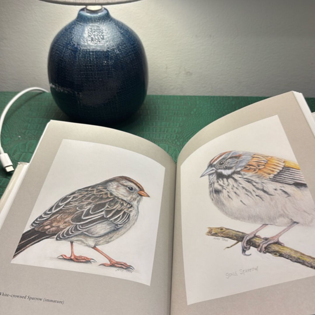 The Backyard Bird Chronicles