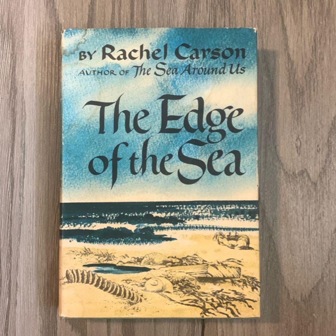 The Edge Of The Sea