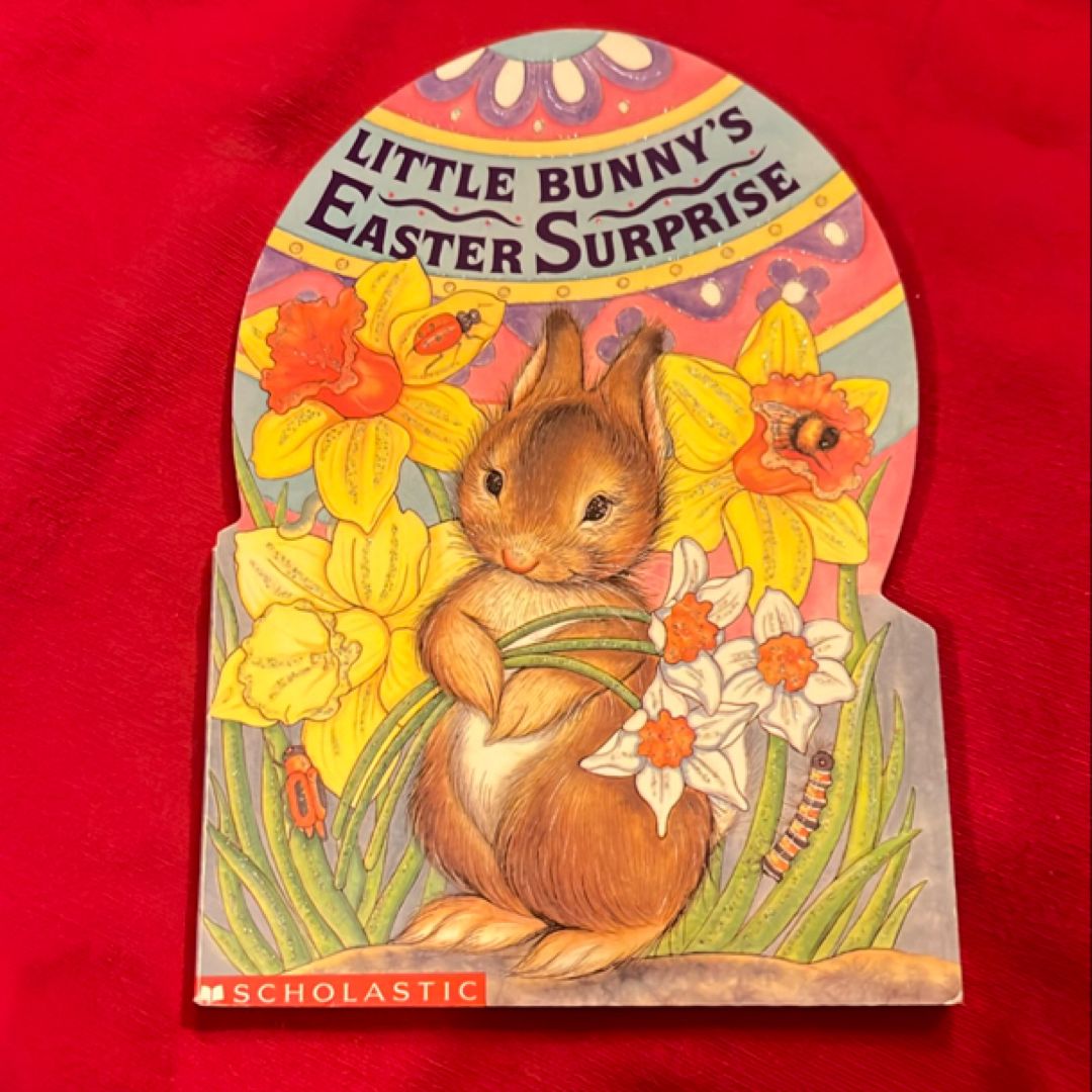 Little Bunny's Easter Surprise