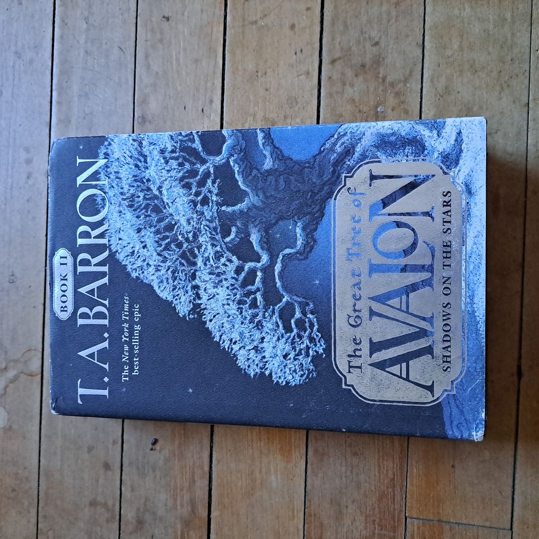 Shadows on the Stars