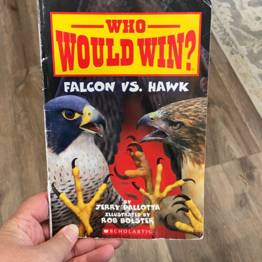 Falcon vs. Hawk (Who Would Win?)