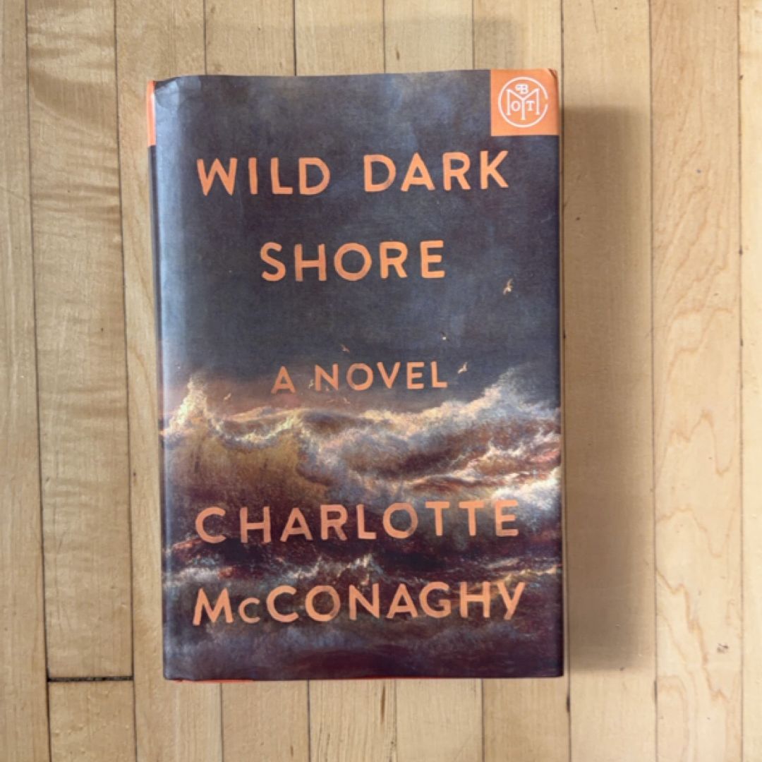 Wild Dark Shore