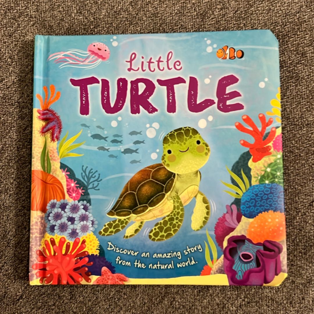 Nature Stories: Little Turtle-Discover an Amazing Story from the Natural World