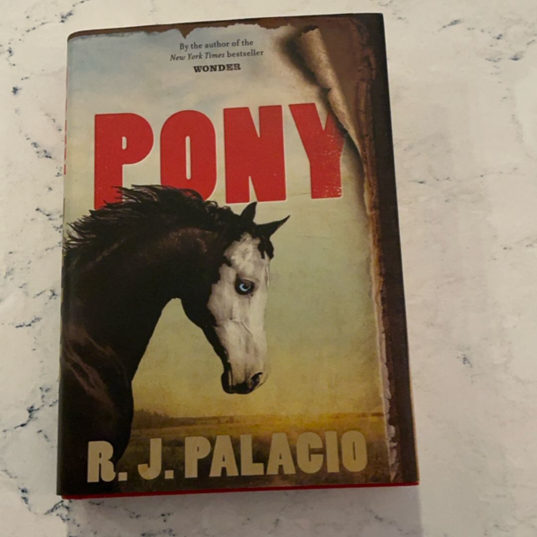 Pony