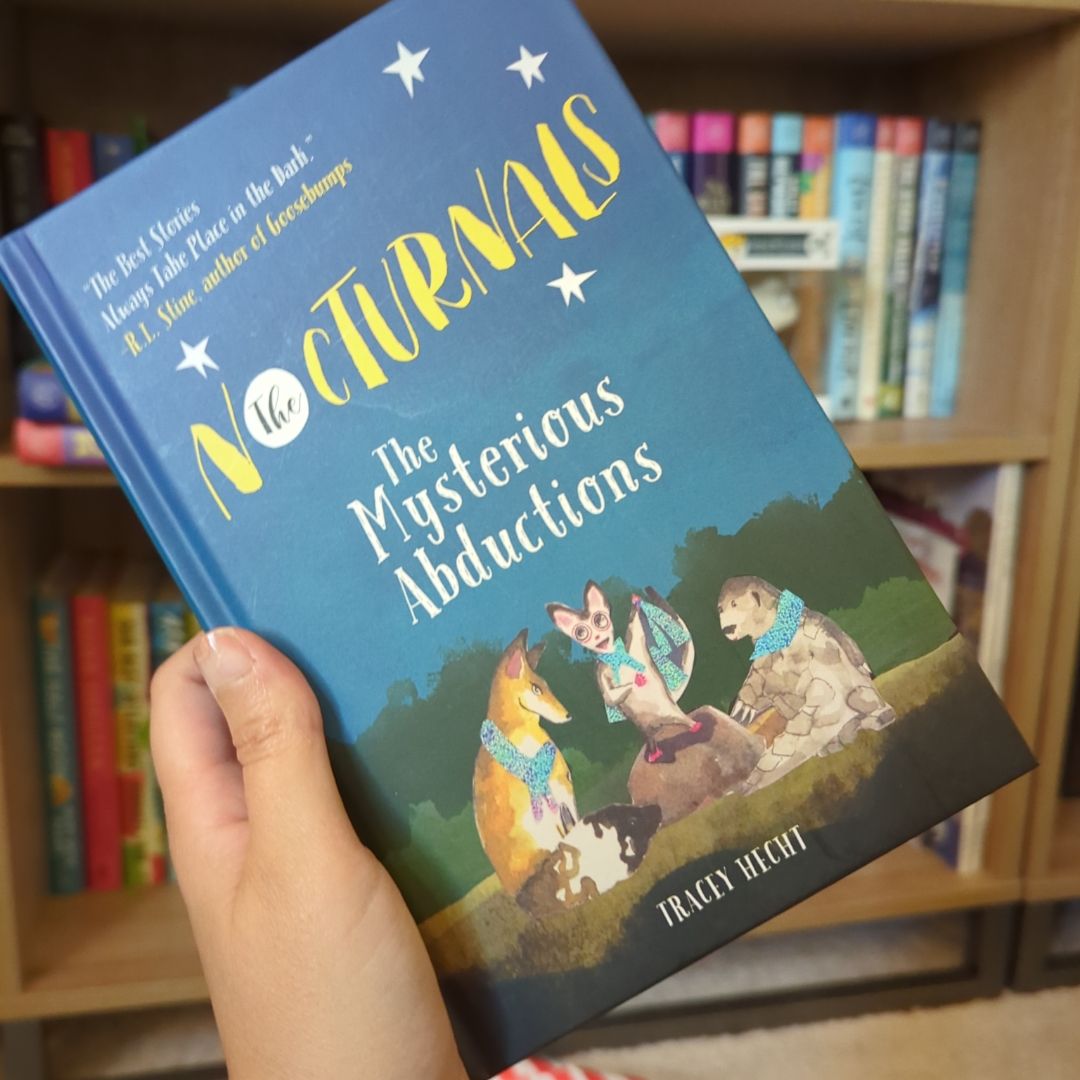 Mysterious Abductions (Books Are Fun)