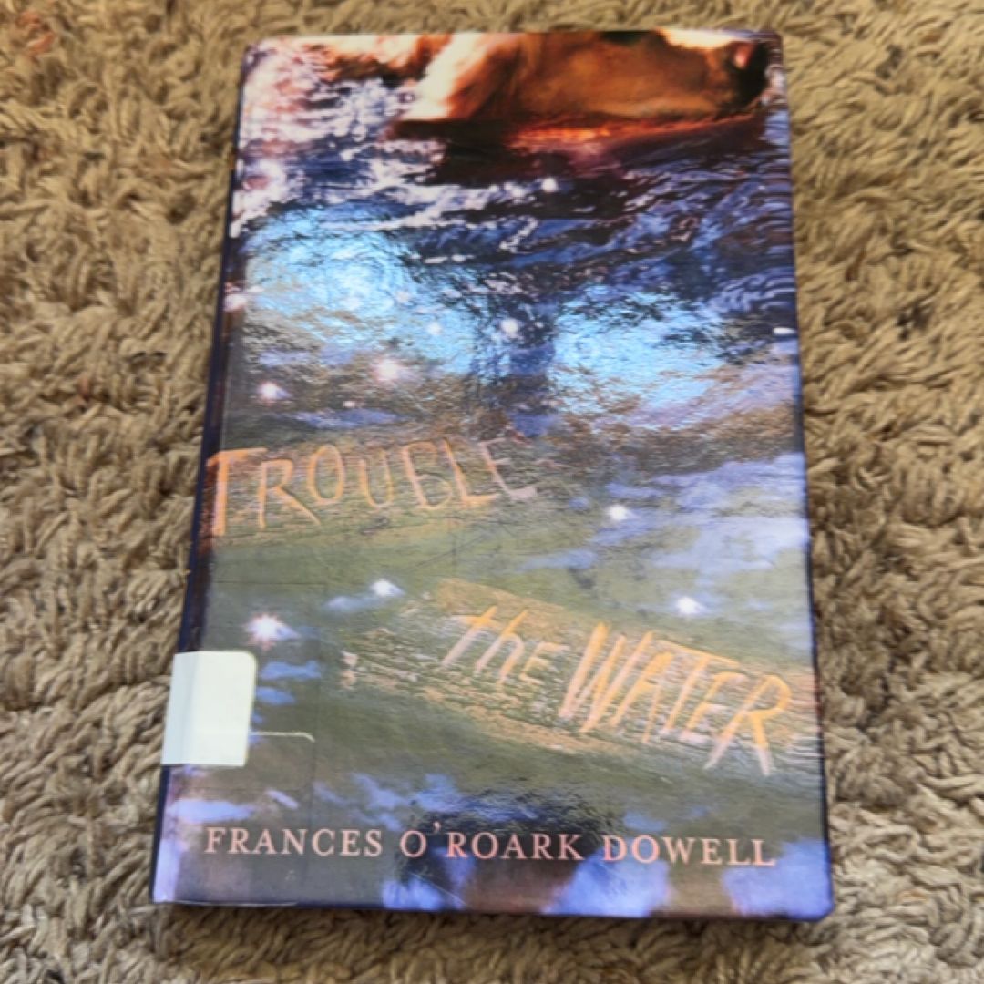 Trouble the Water