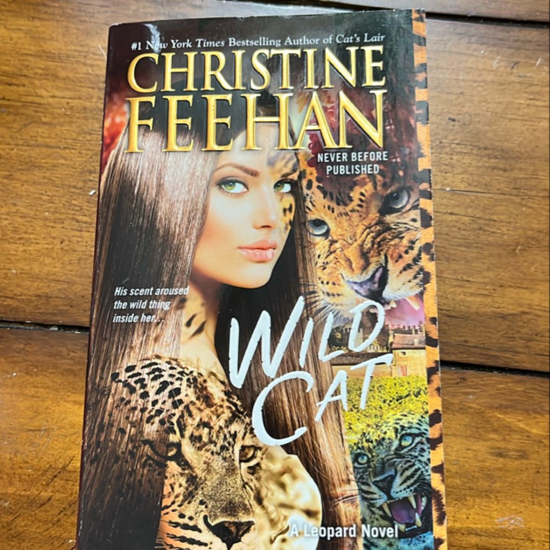 Wild Cat