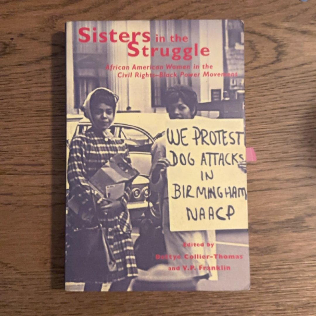 Sisters in the Struggle