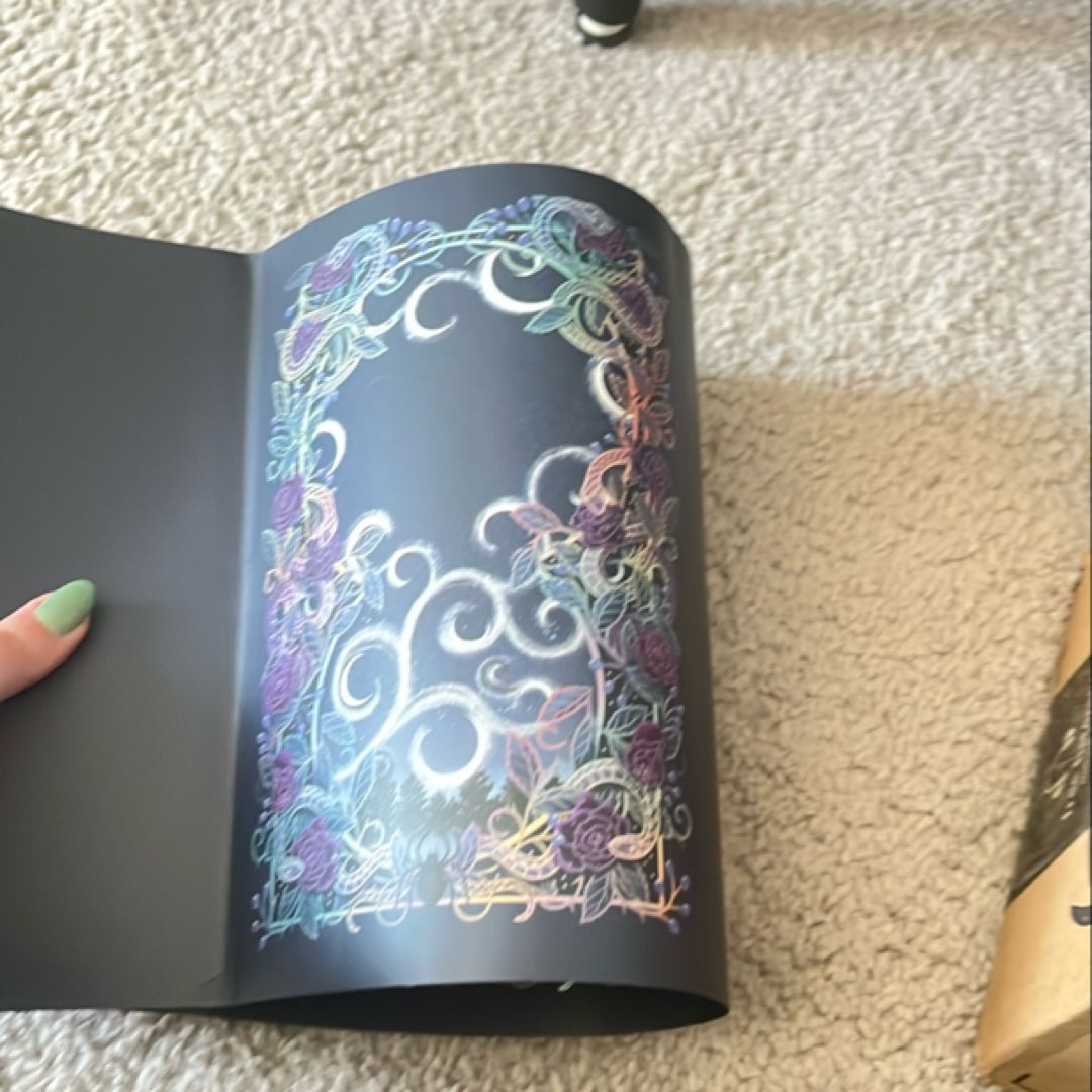 What lies beyond the Veil bookish box exclusive edition jacket