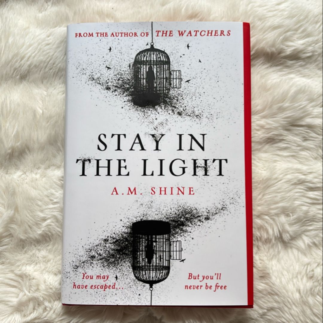 Stay in the Light