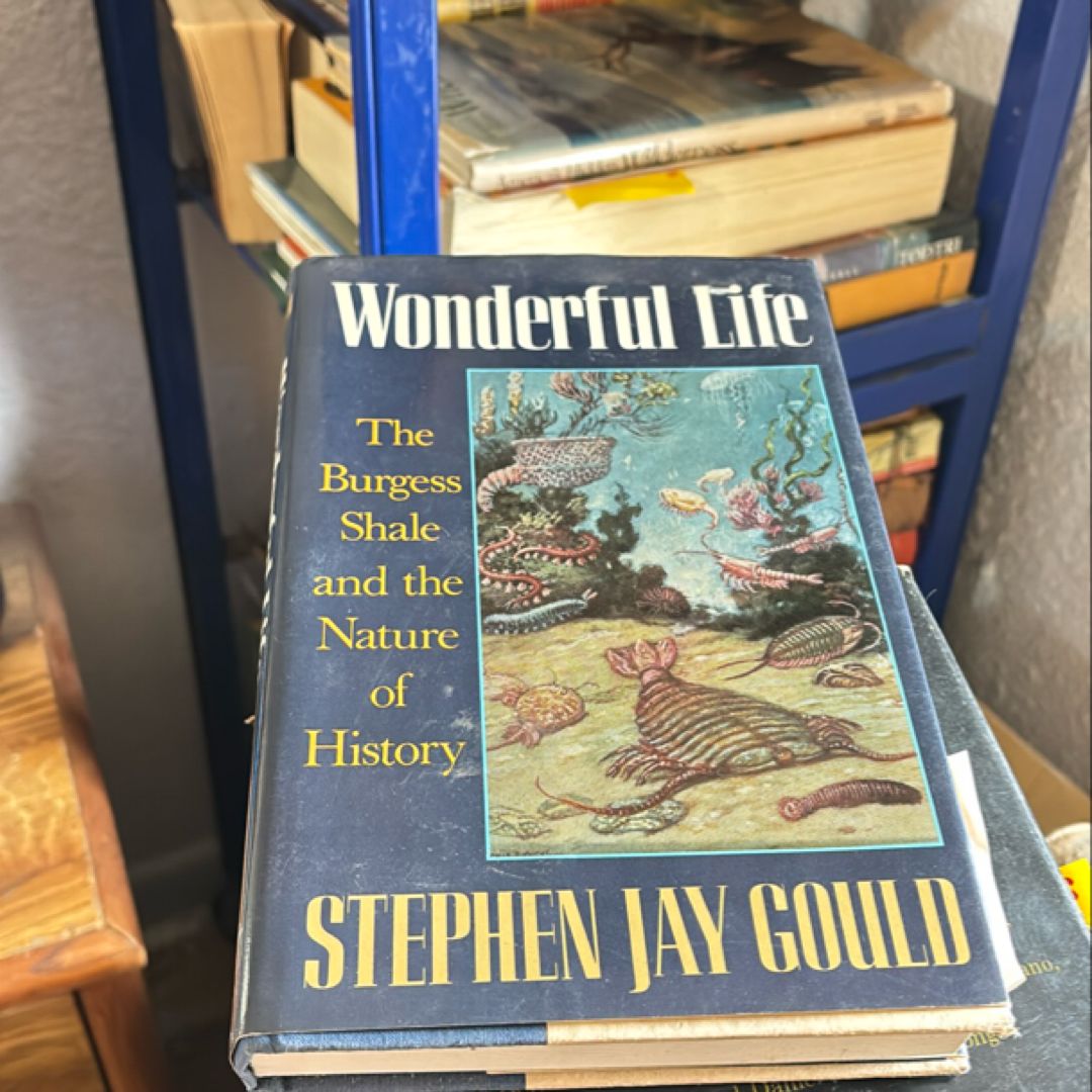 Wonderful Life