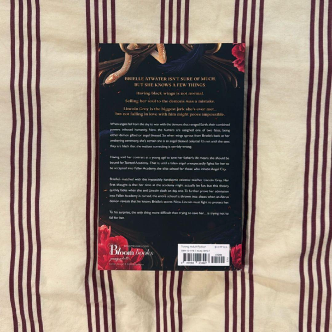 Fallen Academy: Year One