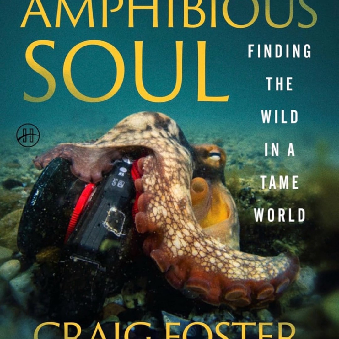 Amphibious Soul