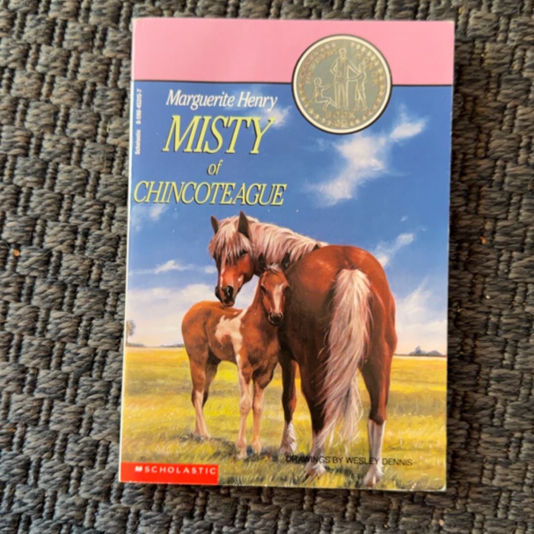 Misty of Chincoteague