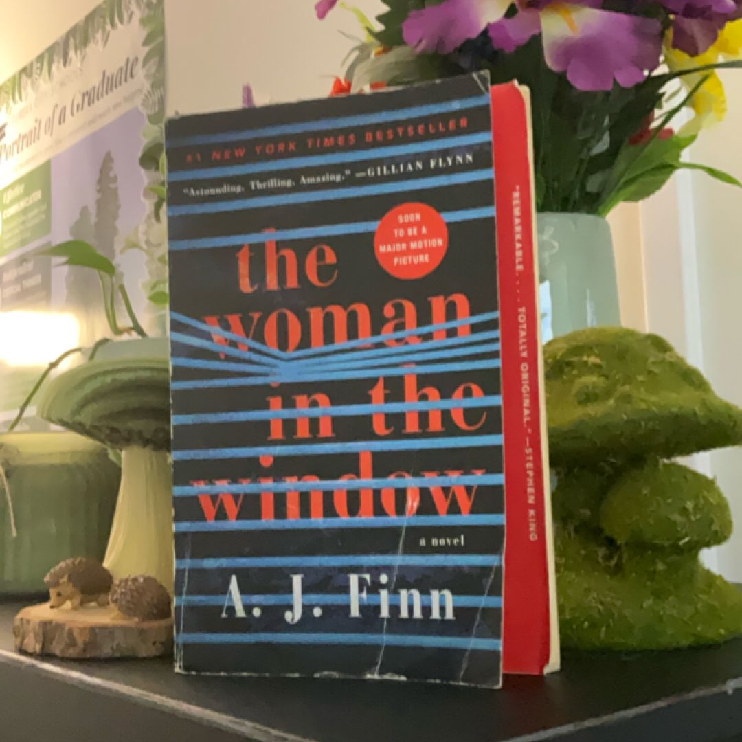 The Woman in the Window