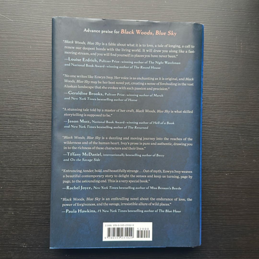 Black Woods, Blue Sky