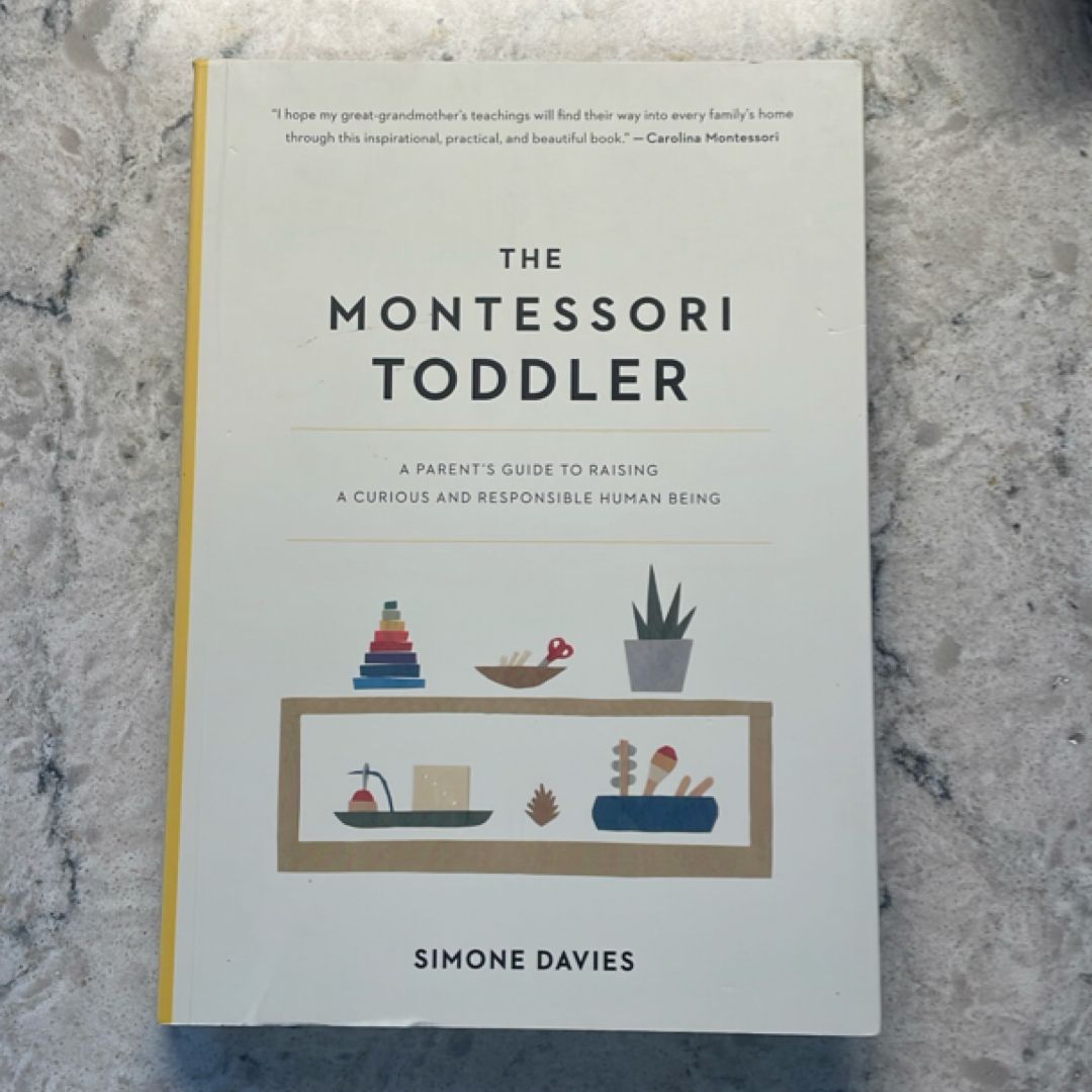 The Montessori Toddler