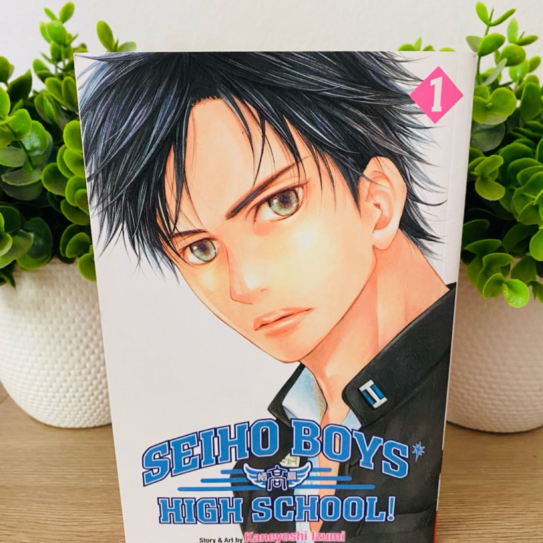Seiho Boys' High School!, Vol. 1