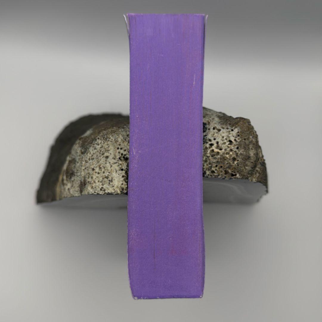Forging Silver into Stars (Limited Special Edition)