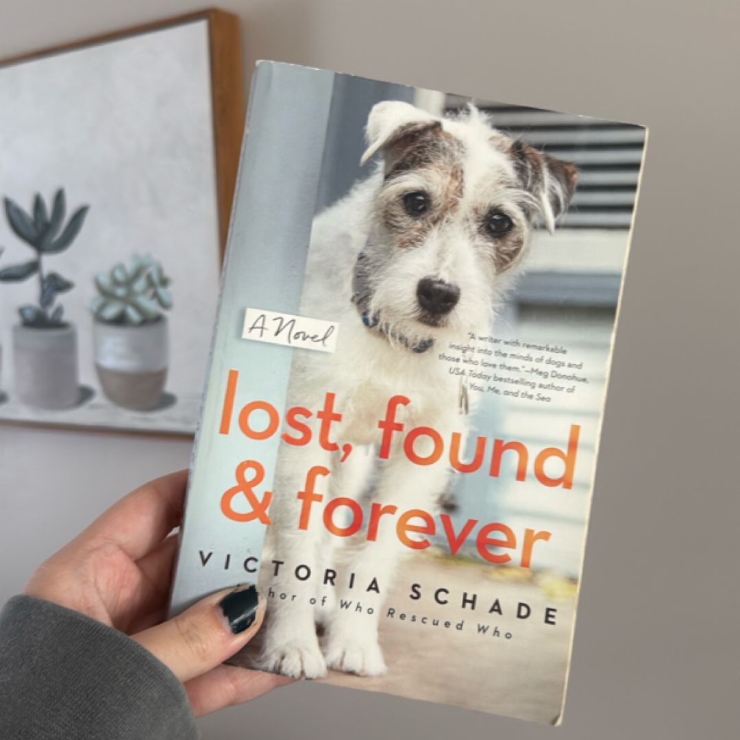 Lost, Found, and Forever