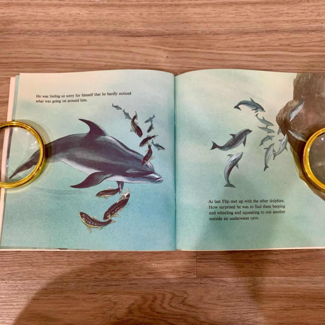 Flip the Dolphin Saves the Day