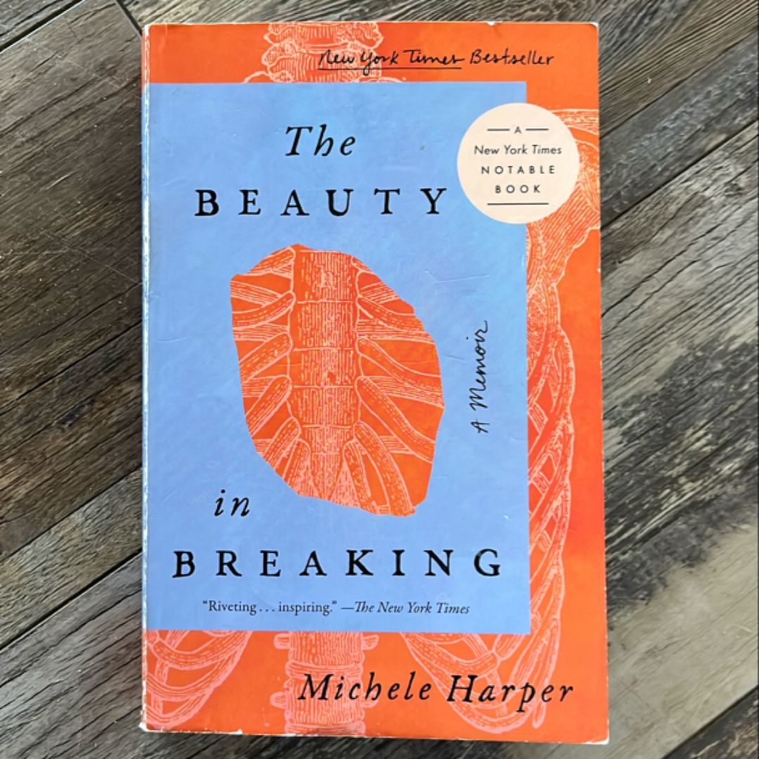 The Beauty in Breaking