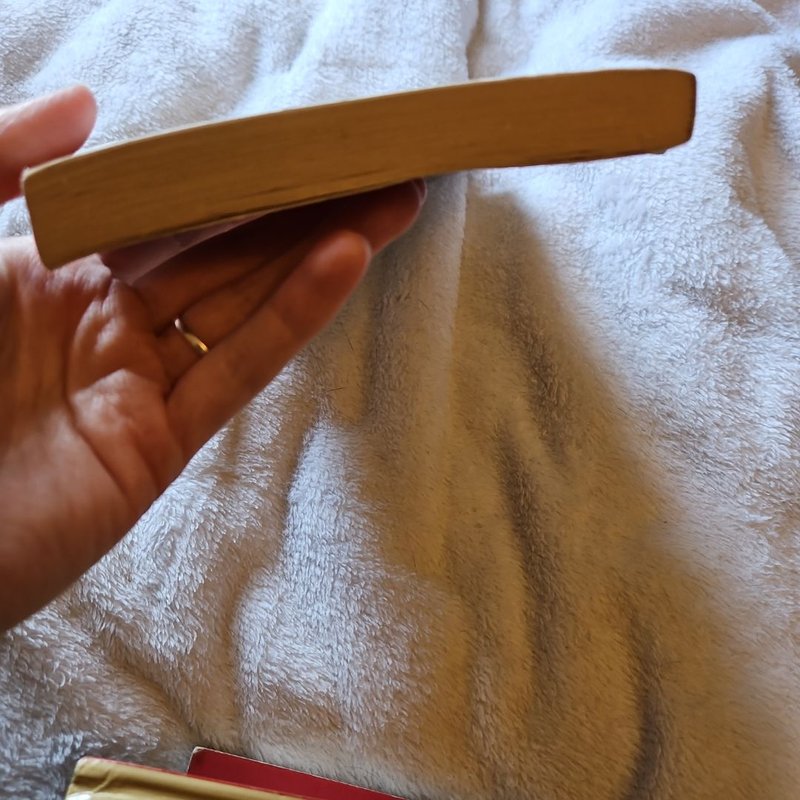 Bridget Jones's Diary