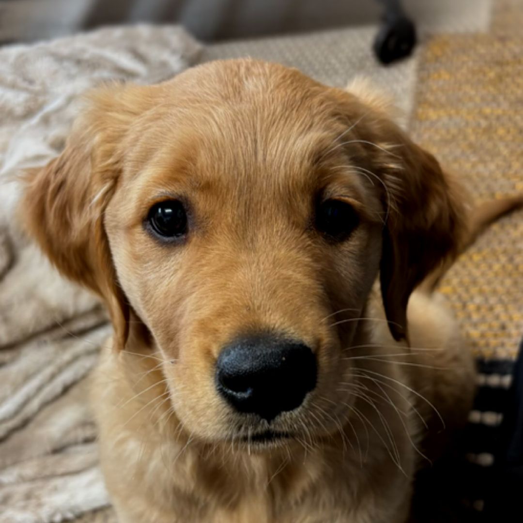 Kelli’s Kollection