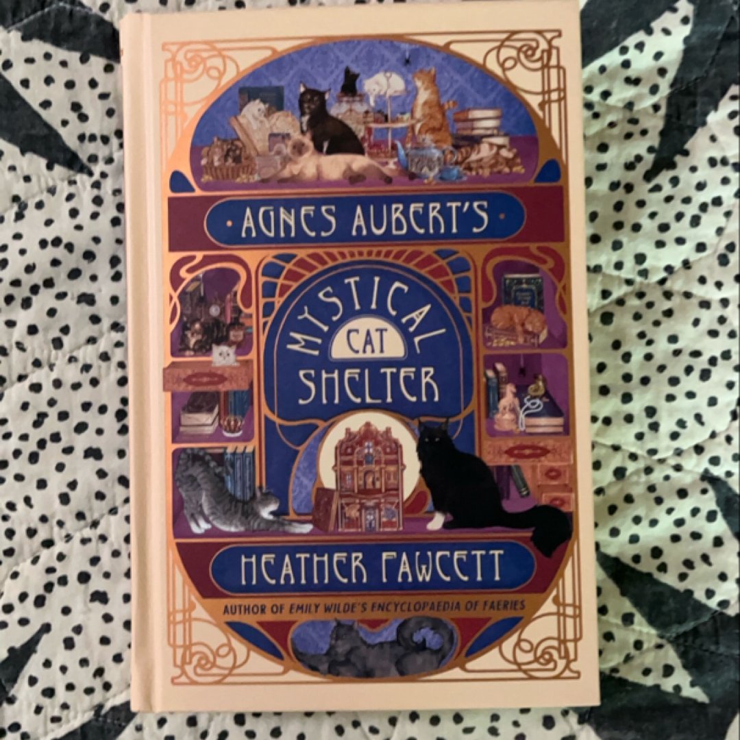Agnes Aubert's Mystical Cat Shelter