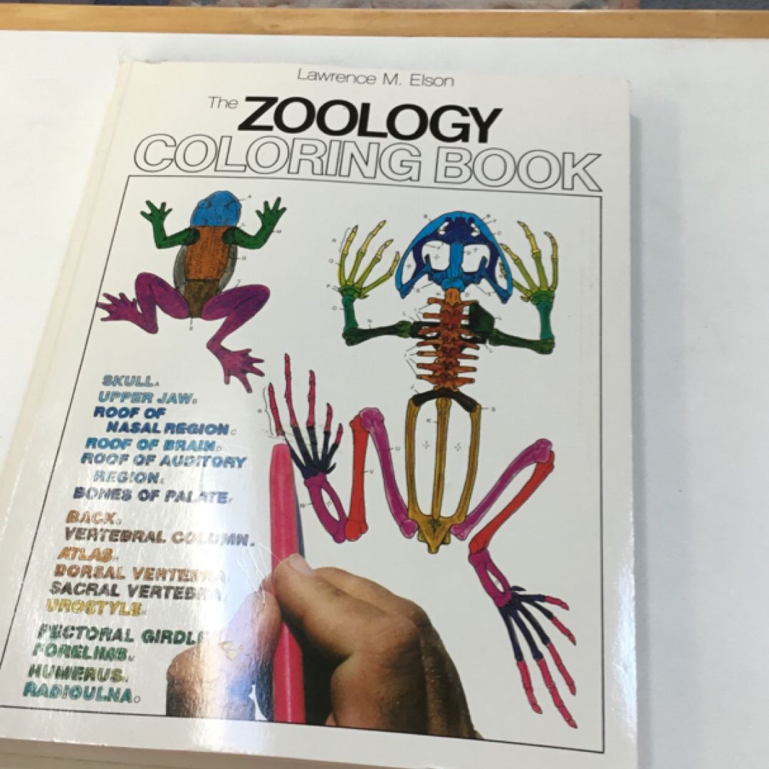 Zoology Coloring Book