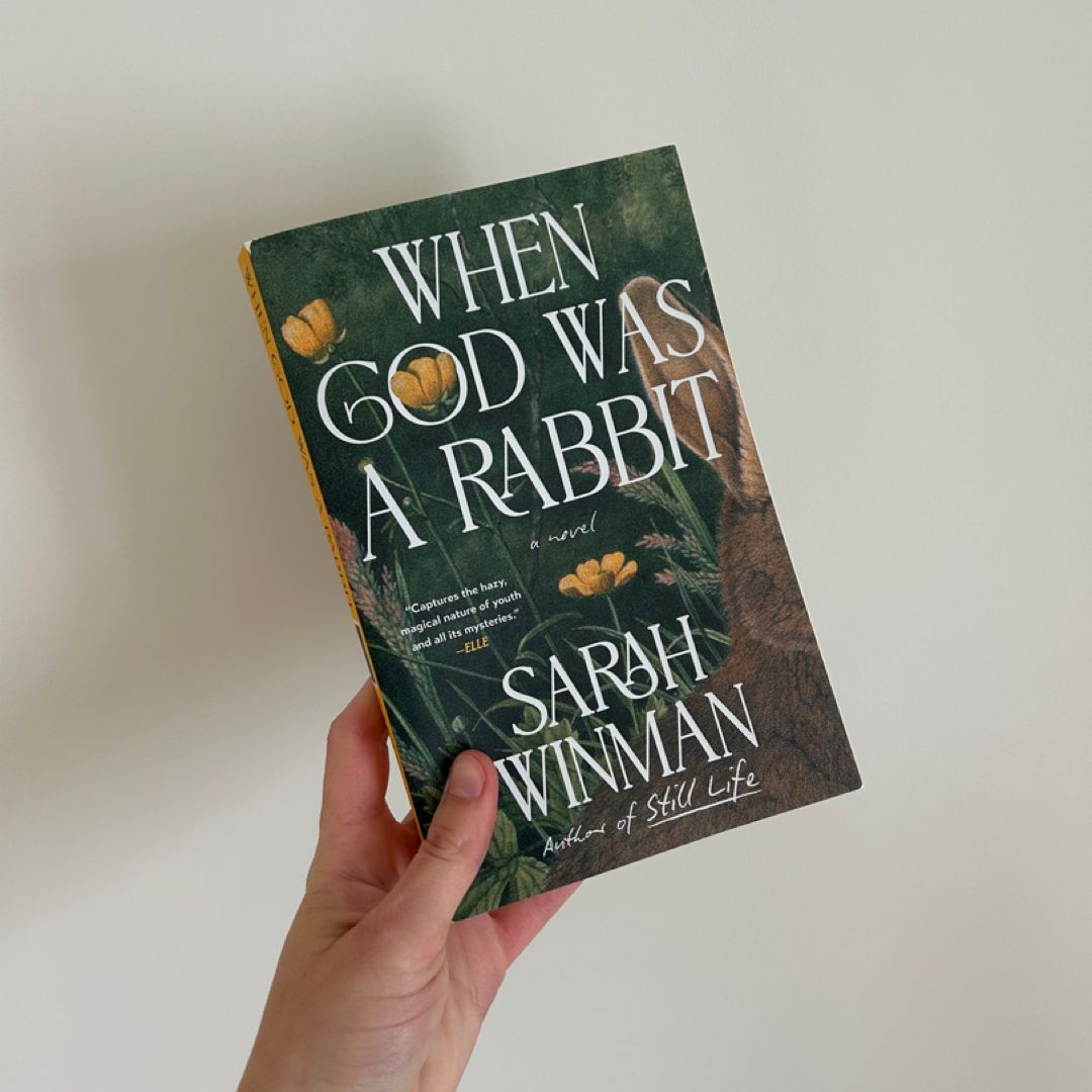 When God Was a Rabbit by Sarah Winman