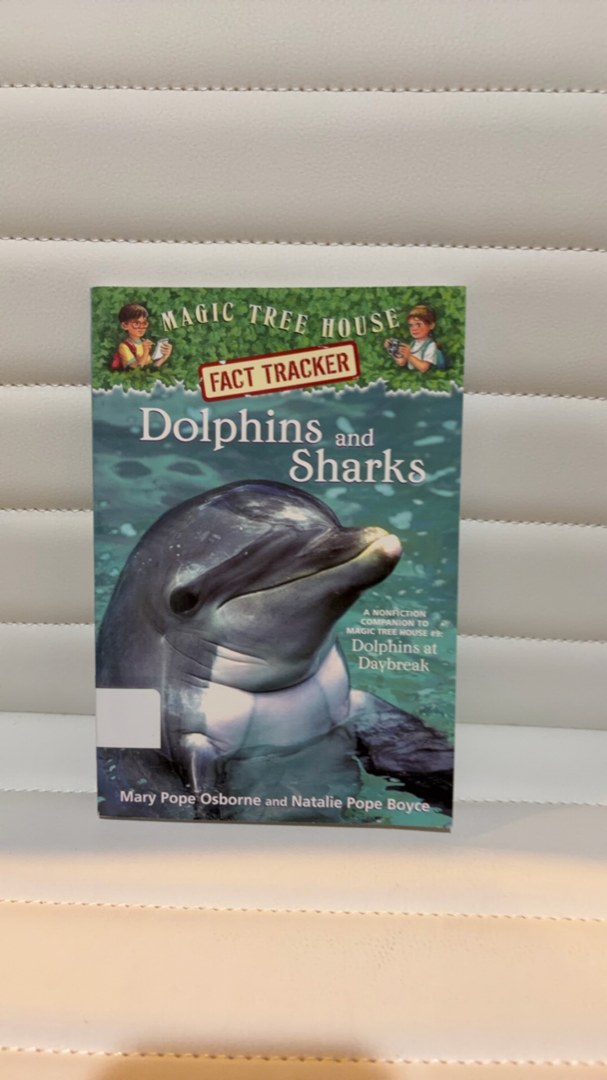 Dolphins and Sharks