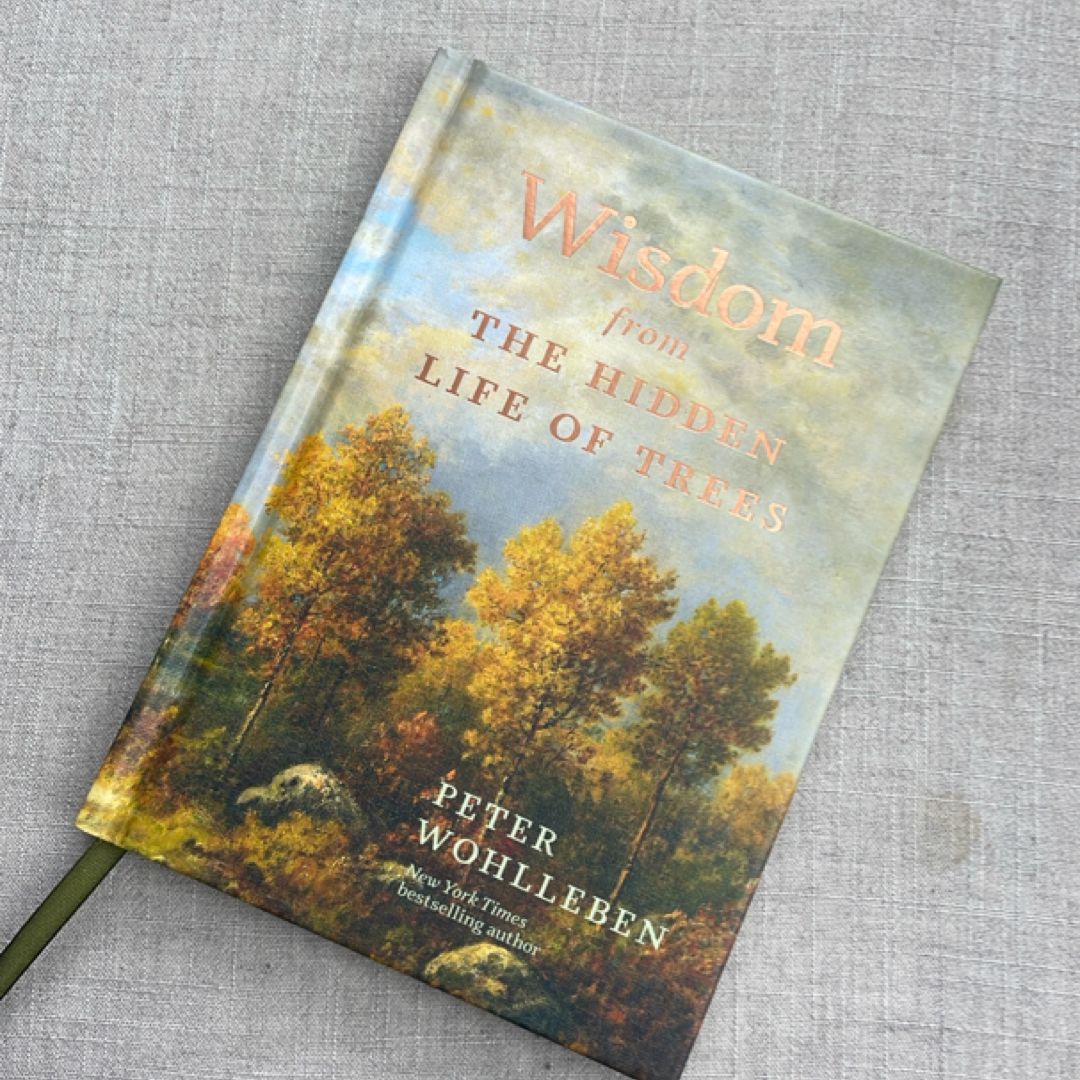 Wisdom from the Hidden Life of Trees