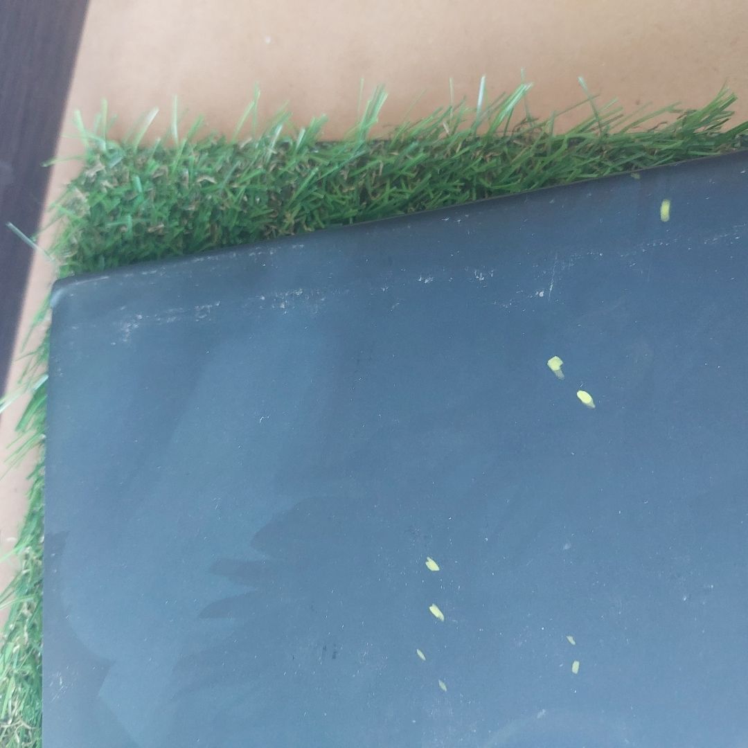 The Art of How to Train Your Dragon