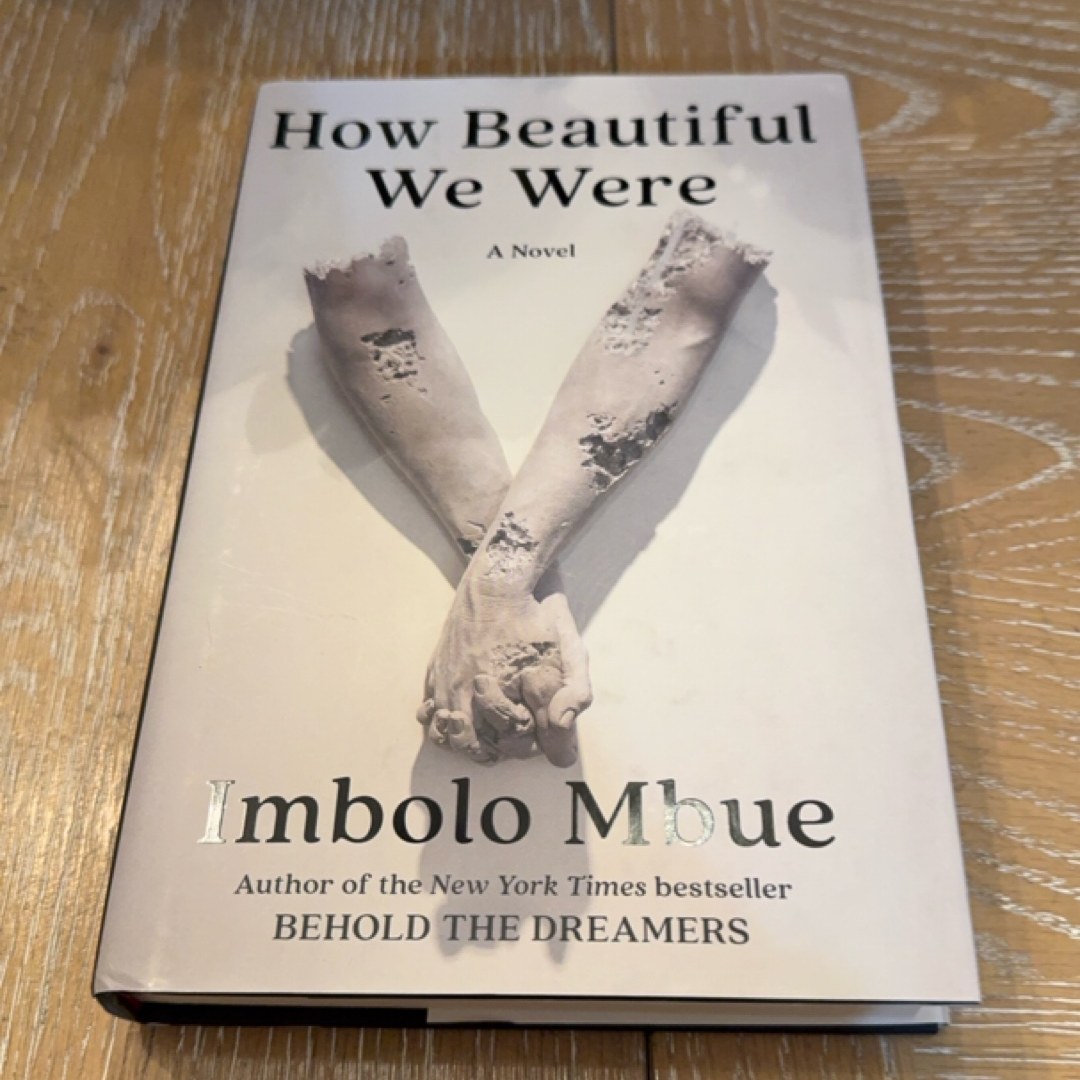 How Beautiful We Were