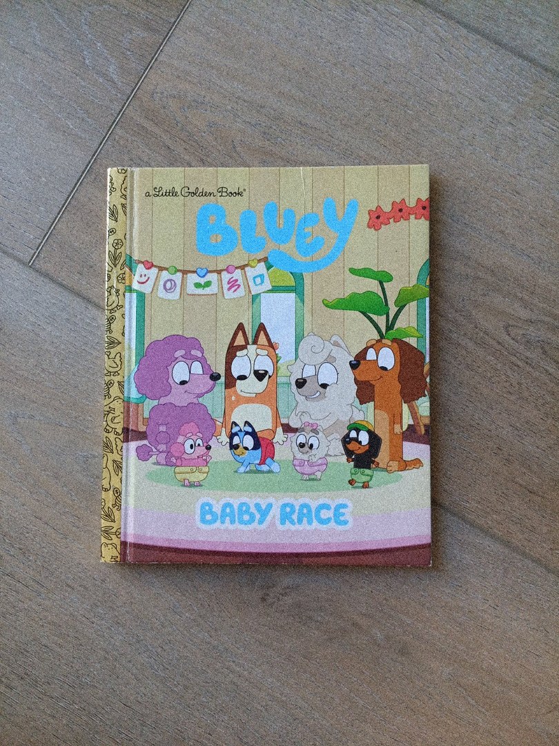 Baby Race (Bluey)